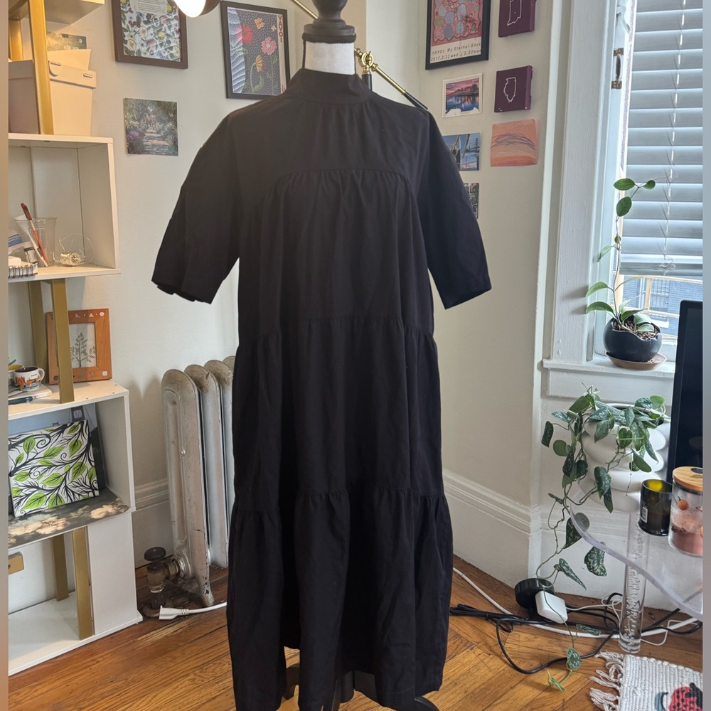 Everlane Dress